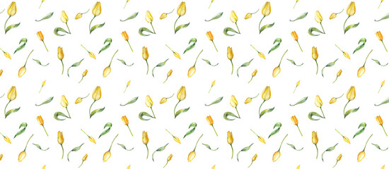 Floral Seamless Pattern. Yellow Tulips and Leaves. Botanical Watercolor Illustration. White Background. for Design Postcards, Wallpaper, Home Textile.
