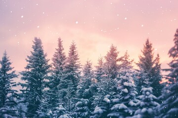 Naklejka premium A snow-covered forest filled with dense pine trees in a winter landscape, Snow-covered pine trees against a soft pink sunset