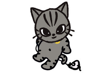 cat