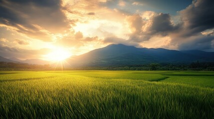 Golden Hour in a Green Valley