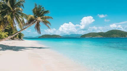Tropical Beach Paradise: A pristine tropical beach with white sand, crystal-clear turquoise waters, and palm trees swaying gently in the breeze.
