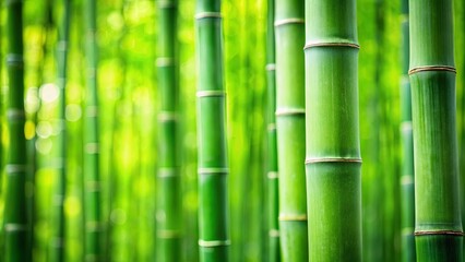 Fototapeta premium Close up of vibrant green bamboo stalk in serene forest setting symbolizing nature tranquility, growth, sustainability, and resilience
