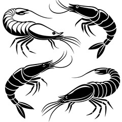   set of shrimp, vector illustration sea creature