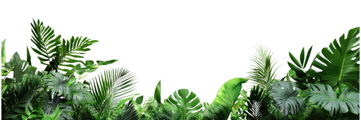 Fototapeta premium Dense tropical foliage with various green leaves isolated on transparent background, perfect for nature backgrounds, digital designs, and eco-themes