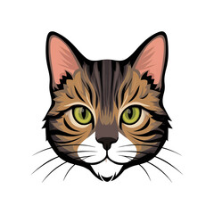 illustration of cat face