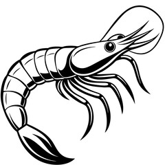 shrimp, vector illustration  sea creature 