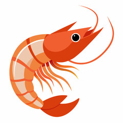 shrimp, vector illustration  sea creature 