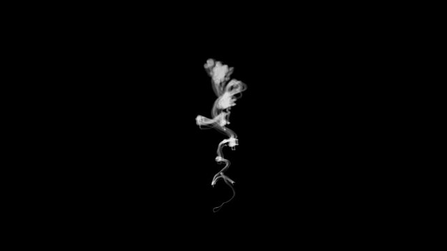 Smoke Moving on a Black Background. Smoke Streak Animation. Cigarette Smoke. 4K