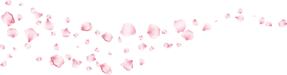 Wave flying rose petals transparent background. Beautiful floral overlay with lots of rose petals.