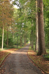 Obraz premium Kleiner Park im Zentrum von Bad Camberg in Hessen 