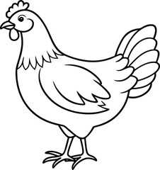 Feathered Chicken Design