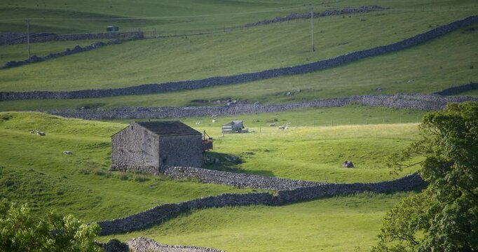 long shot of fields with stone barn and dry stone walls in the Yorkshire Dales