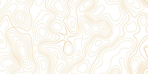 Stylized topographic contour height in lines and contours. The concept of conventional geography and route of the area. Horizontal size canvas. Golden art