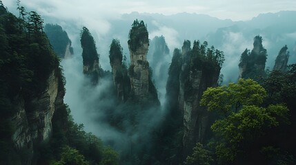 Zhangjiajie National Forest Park: The towering sandstone pillars of Zhangjiajie National Forest Park, shrouded in mist and greenery.
