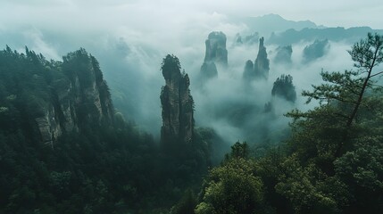 Zhangjiajie National Forest Park: The towering sandstone pillars of Zhangjiajie National Forest Park, shrouded in mist and greenery.
