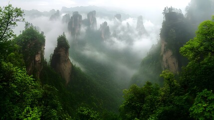 Zhangjiajie National Forest Park: The towering sandstone pillars of Zhangjiajie National Forest Park, shrouded in mist and greenery.
