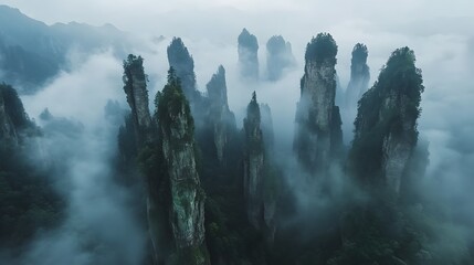 Zhangjiajie National Forest Park: The towering sandstone pillars of Zhangjiajie National Forest Park, shrouded in mist and greenery.

