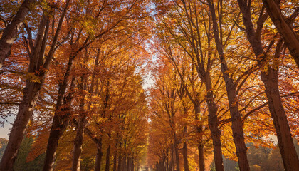 紅葉した並木道