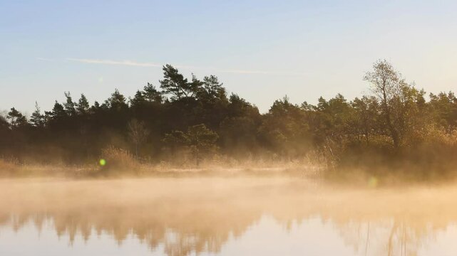 Scenic view at morning mist at a lake by a bog