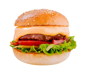 Delicious burger with lettuce, tomato, beef and cheese is waiting on white background
