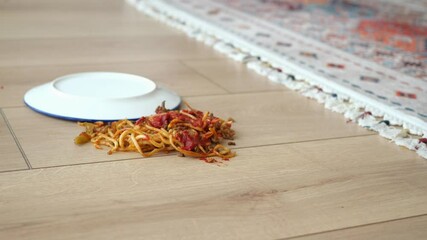 Spaghetti and sauce spilled on floor.