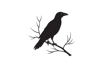 Obraz premium Crow silhouette vector illustration