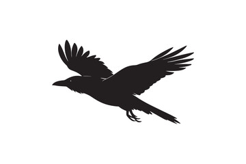 Fototapeta premium Crow silhouette vector illustration