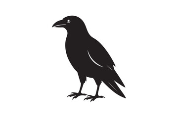 Crow silhouette vector illustration
