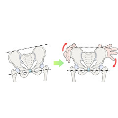 추나 골반교정 한의학 치료 기전