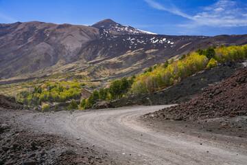 Mount Etna summer landscape with volcano craters in Sicily, Italy, Europe