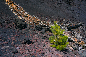 Mount Etna summer landscape with volcano craters in Sicily, Italy, Europe