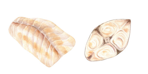 Steamed and grilled white fish steak and fillet ingredients watercolor illustration clipart. Cutting halibut and cod for healthy home food. For cookbook recipes, menu. Seafood top view