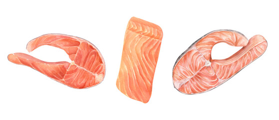 Steamed raw salmon steak and fillet watercolor food illustration clipart. Healthy trout fish hand painting ingredient for seafood and marine recipes, menu, cookbook, barbecue design. Top view
