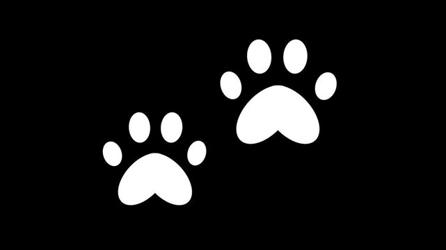 White paw prints of a pet. White silhouettes of cat footprints. Walking footsteps. Keep walking. Walking exercise. Physical activity. 4k animation on transparent background with alpha channel