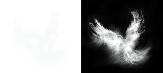 Fototapeta premium PNG Abstract ethereal bird wings art