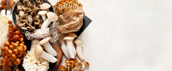 Asian raw mushrooms collection. Healthy food concept © bit24