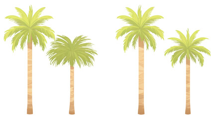 Obraz premium Elegant Coconut Tree Collection with Transparent Background for Design Use