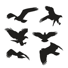 Hand drawn eagle silhouette set