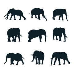 Hand drawn elephant silhouette set