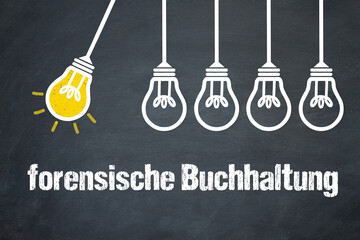 forensische Buchhaltung	