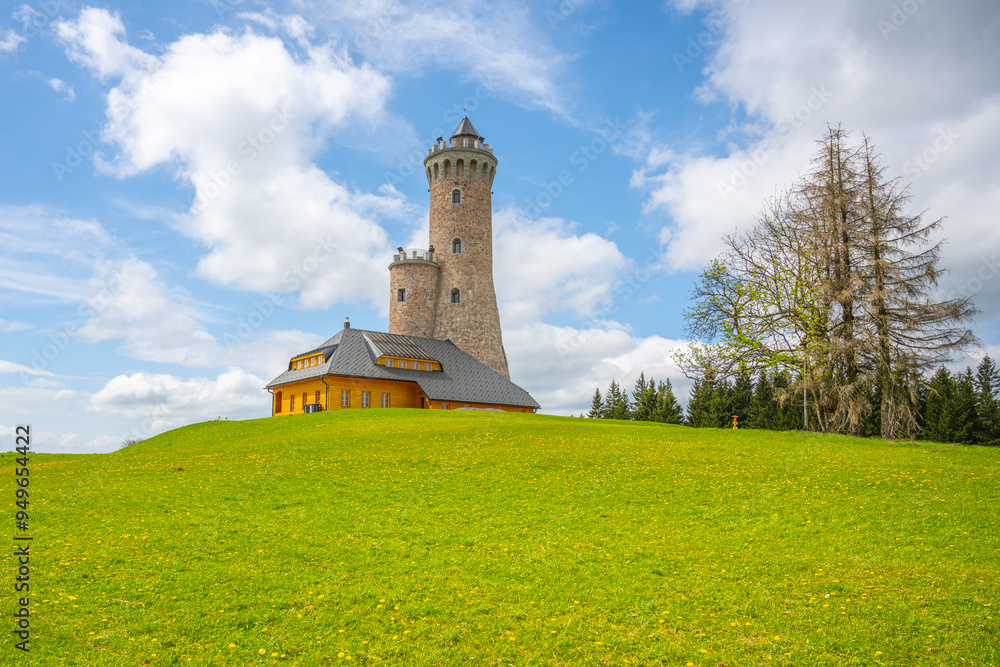 Wall mural a scenic view of the dalimil lookout tower in czechia, with a stone tower and a wooden building nest