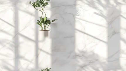 A captivating minimalist close-up of pristine white marble, blending realism with modern freshness through crisp, clean lines for a serene and stylish desktop experience