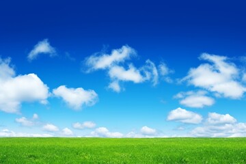 Fototapeta premium Serene Green Field Under a Blue Sky with Fluffy Clouds - Nature Photography
