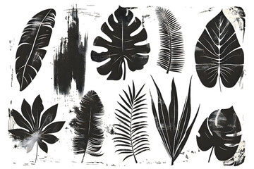 Fototapeta premium Hand drawn set of grunge modern textured brush black leaves isolated on transparent background