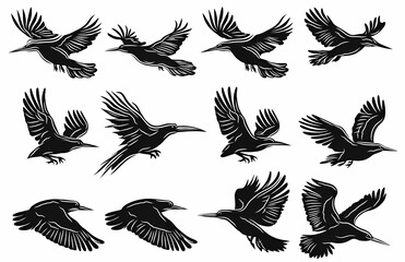 Obraz premium Stylized silhouettes of birds in flight showcasing various wing positions.