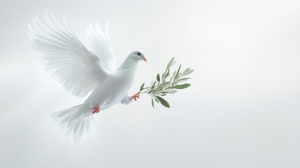 Fototapeta premium White dove holding a small olive branch, flying gracefully against an abstract dynamic white-light grey background