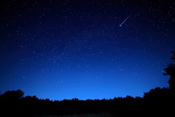 Fototapeta premium Night Sky with Shooting Stars and Silhouetted Trees