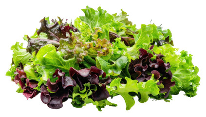 PNG Fresh mixed leafy greens salad