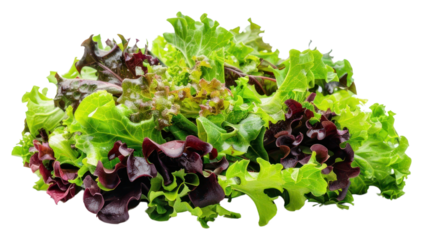 PNG Fresh mixed leafy greens salad