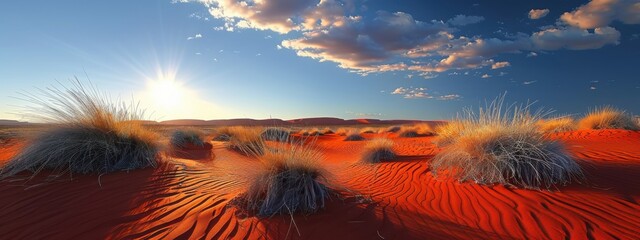 Red Earth and Spinifex A vast expanse of red sand dotted with tough spinifex grass under a scorching sun.